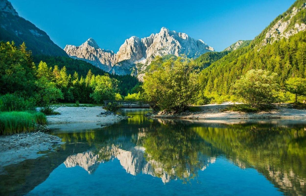 Bor In Bor Luxury Apartment With Sauna & Garden - Kranjska Gora Esterno foto