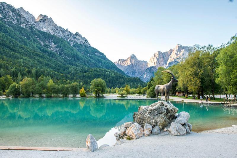 Bor In Bor Luxury Apartment With Sauna & Garden - Kranjska Gora Esterno foto
